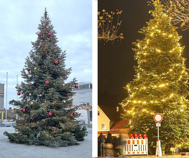 Welcher Baum ist der schönste, der in Tamm, der in Besigheim – oder doch ein anderer?