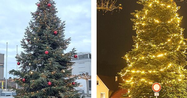 Welcher Baum ist der schönste, der in Tamm, der in Besigheim – oder doch ein anderer?