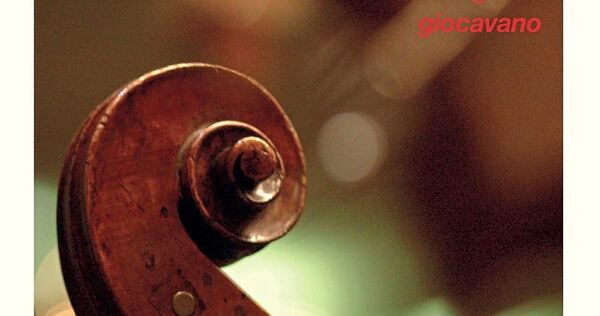 Beeindruckender Querschnitt: „live 2025“ ist ein gelungener Rückblick auf die vergangenen 20 Jahre.