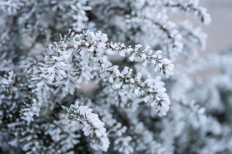 Wetter in Baden-Württemberg