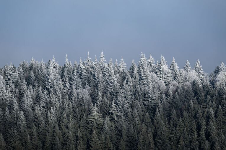 Wetter in Baden-Württemberg