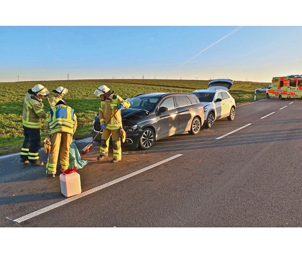 Neben einem Rettungswagen war auch die Freiwillige Feuerwehr Schwieberdingen im Einsatz.