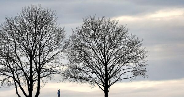 Auch bei kühlerem Wetter kann ein Spaziergang gut tun.