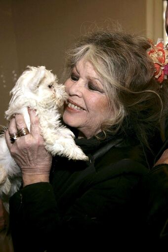Brigitte Bardot