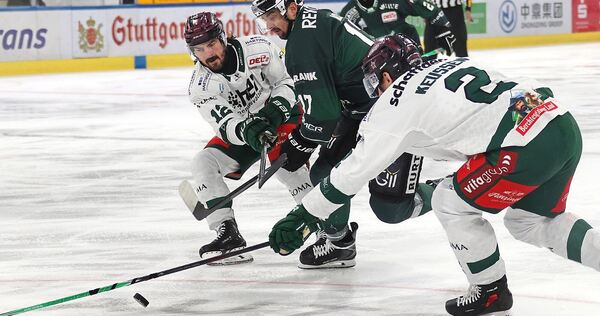 Zwei gegen einen: Steelers-Stürmer Marek Racuk kämpft gegen die Rosenheimer C.J. Stretch (links) und Joel Keussen um den Puck.