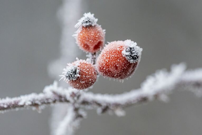 Wetter in Baden-Württemberg