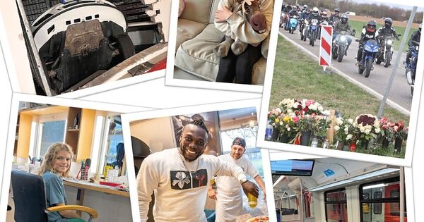 Diese-Geschichten-haben-unsere-Instagram-Follower-2025-besonders-interessiert