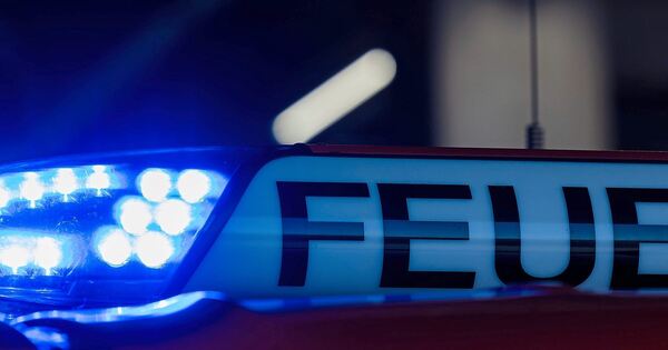 Bilanz-der-Silvesternacht-im-Kreis-Ludwigsburg-Weniger-Eins-tze-als-im-Vorjahr