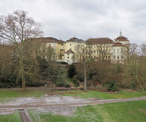 Durch die laublosen Bäume bietet sich ein offener Blick auf das barocke Schloss.