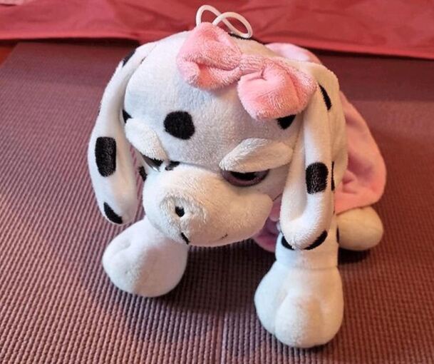 Er wurde viel geliebt, jetzt soll er weitergegeben werden. Der Besitzer schreibt, er sei „toll zum Knuddeln!“