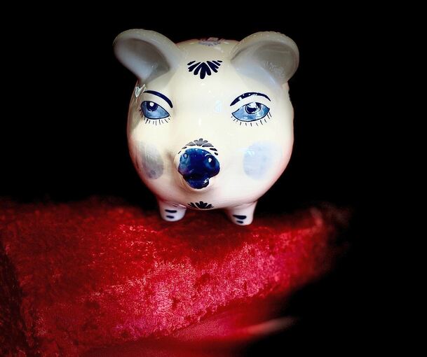 Spendenschwein Donatella. Das Medienbudget der Bücherei ist aus Spargründen um 70 Prozent gekürzt worden. Spendenaktionen sollen Spendenschwein Donatella. Das Medienbudget der Bücherei ist aus Spargründen um 70 Prozent gekürzt worden. Spendenaktionen sollen die Folgen abmildern.