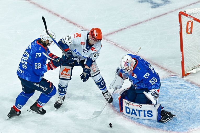 Adler Mannheim - Schwenninger Wild Wings Adler Mannheim - Schwenninger Wild Wings