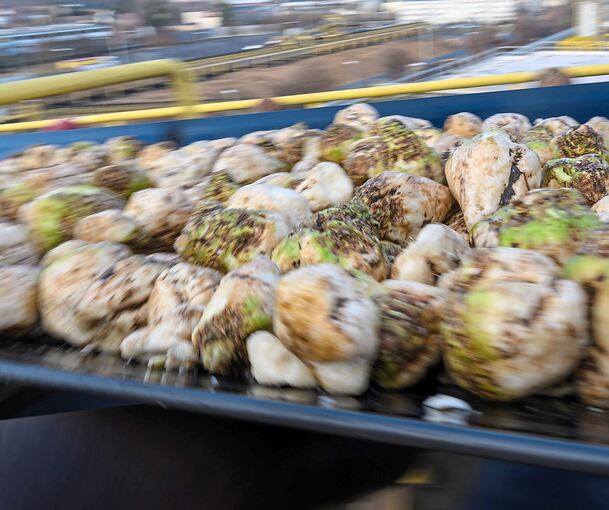 Ein Sattelzug hat auf der A 81 Zuckerrüben verloren.