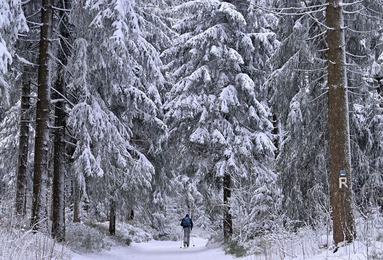 Gera: Warnung vor umstürzenden Bäumen und abbrechenden Ästen