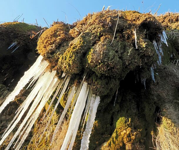 Das Naturdenkmal Tuff-Felsen in Kirchheim: Im Winter bilden sich hier oft mächtige Eiszapfen.