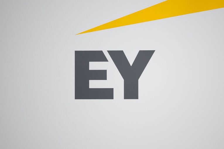 Wirtschaftsprüfungsgesellschaft Ernst & Young