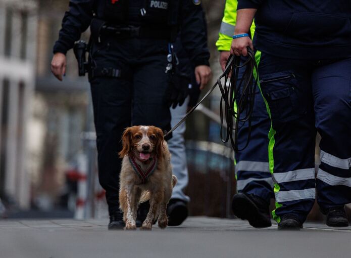 Vermisster Junge in Frankfurt