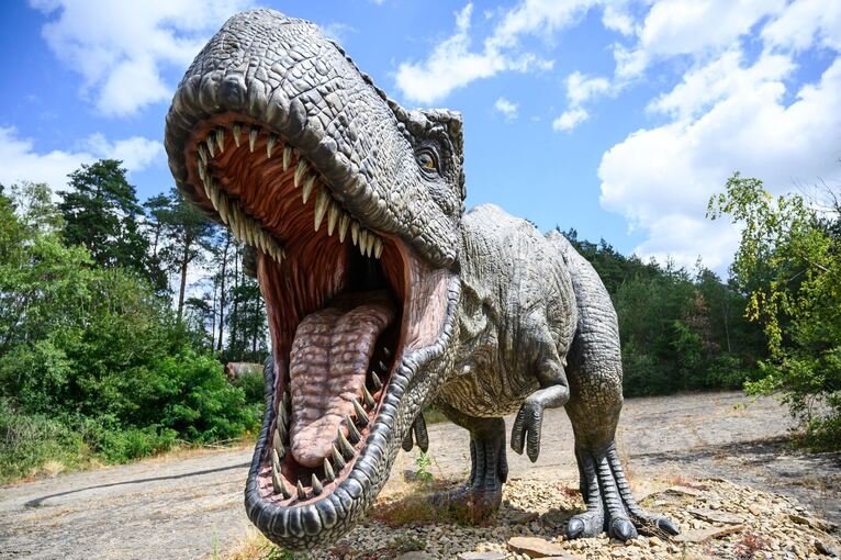 Auch ein Top-Predator fängt klein an: T. rex war ein Spätzünder