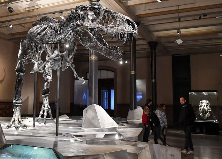 Auch ein Top-Predator fängt klein an: T. rex war ein Spätzünder