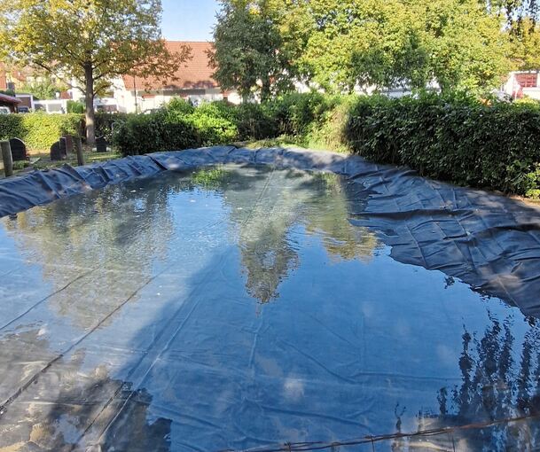 Das Biotop am Friedhof.