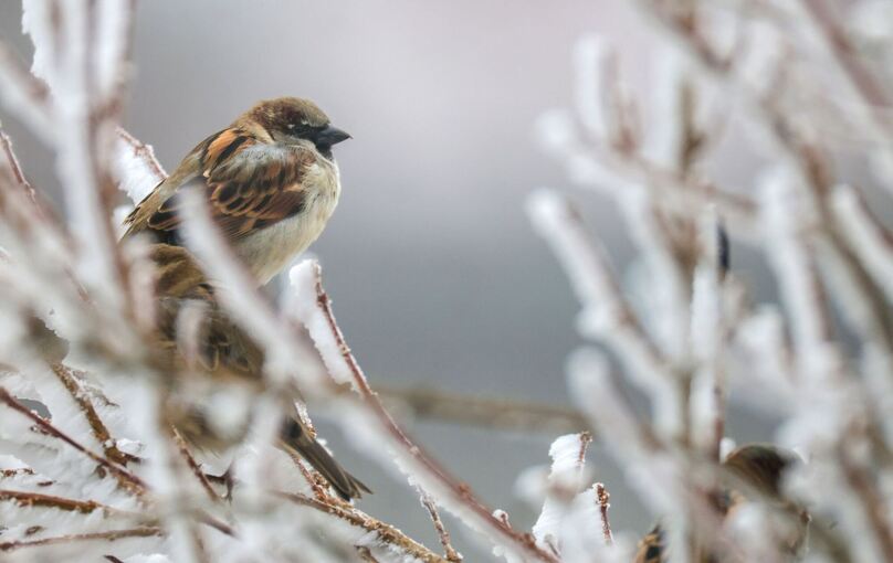 Wetter in Baden-Württemberg