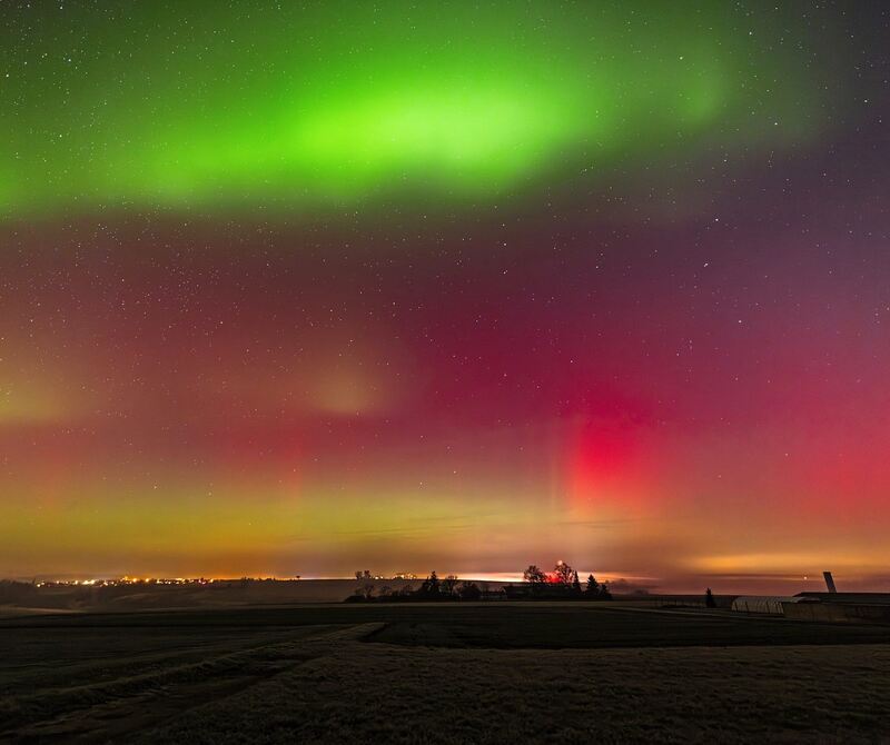 Auch Grün ist in der Farbpalette.