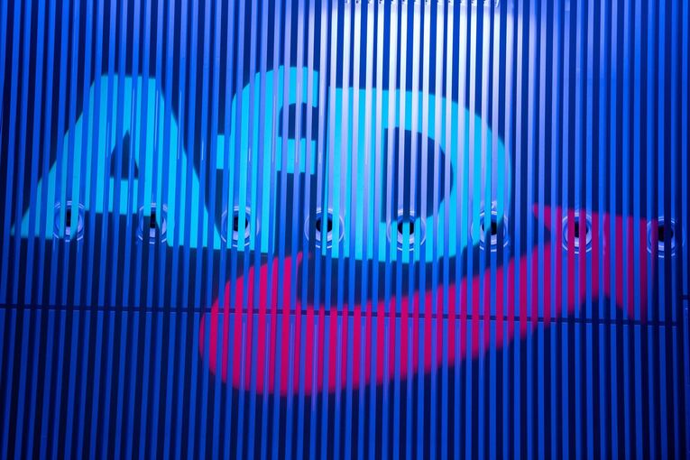 AfD Baden-Württemberg AfD Baden-Württemberg