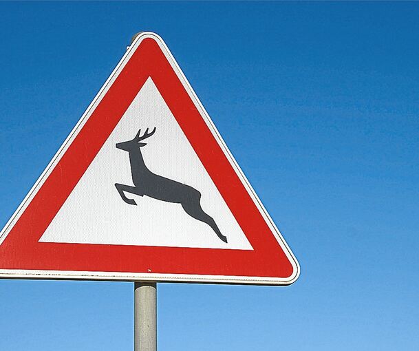 Achtung Wildwechsel: Das klassische Verkehrsschild verfehlt offenbar oftmals seine Wirkung.