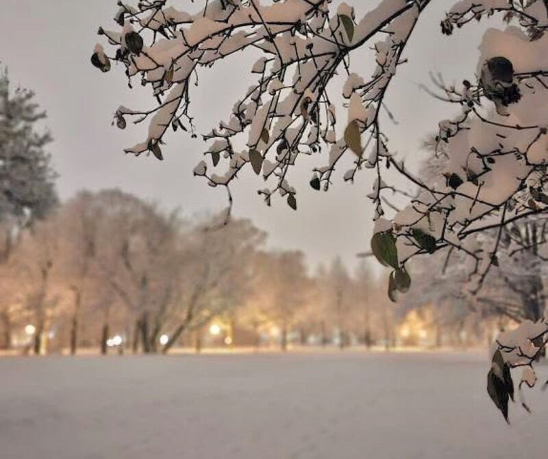 Die Bärenwiese im Winterkleid.