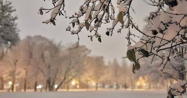 Die Bärenwiese im Winterkleid.