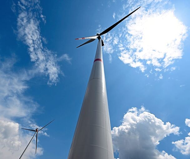 Der BUND im Landkreis differenziert: Windkraft im Alleenfeld hält er für naturverträglich umsetzbar, Windräder auf dem Regenpfeiferacker lehnt er ab.