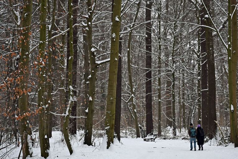 Winterwetter in Deutschland - Hannover