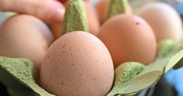 Eierwurf-in-M-nchingen-Terrasse-eines-Hauses-wird-stark-verschmutzt