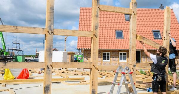 More expensive tradespeople? What's driving up prices?