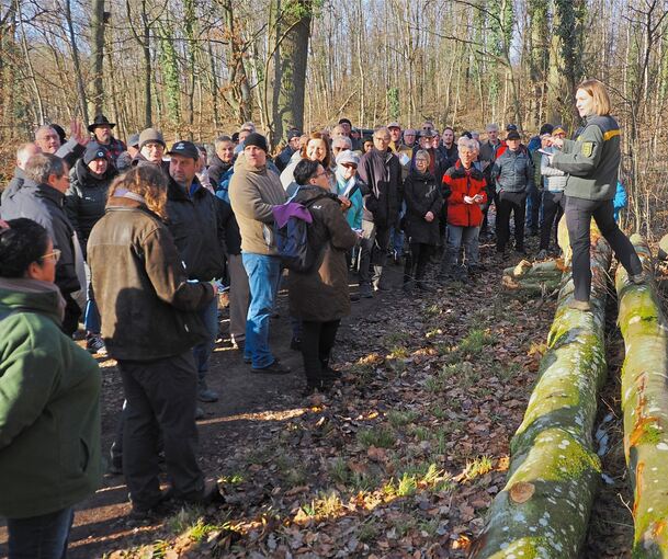 Revierleiterin Lia Ternes bei der schwungvollen Brennholzversteigerung in Poppenweiler.