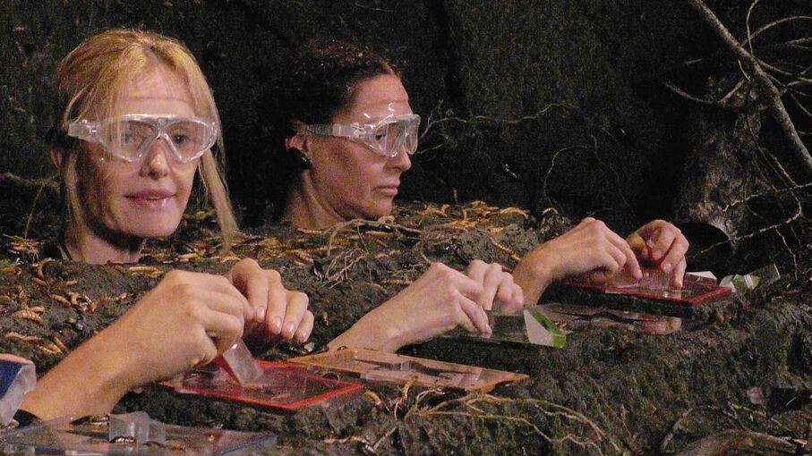 Ich bin ein Star - Holt mich hier raus! - Tag 9