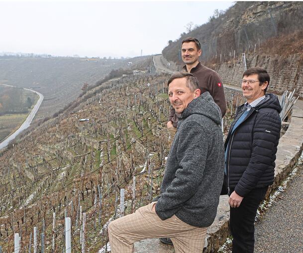 Der Erhalt der Steillagen am Wurmberg liegt ihnen besonders am Herzen: Marc Müller, Fabian Lassak und Michael Eisele (von links).