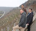 Der Erhalt der Steillagen am Wurmberg liegt ihnen besonders am Herzen: Marc Müller, Fabian Lassak und Michael Eisele (von links) Der Erhalt der Steillagen am Wurmberg liegt ihnen besonders am Herzen: Marc Müller, Fabian Lassak und Michael Eisele (von links).