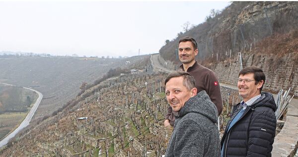 Der Erhalt der Steillagen am Wurmberg liegt ihnen besonders am Herzen: Marc Müller, Fabian Lassak und Michael Eisele (von links).
