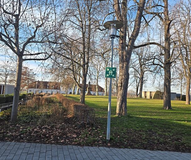 Die Rosskastanie steht prominent am Vorplatz der Stadthalle und ist deshalb eine Gefahr für die Verkehrssicherheit.