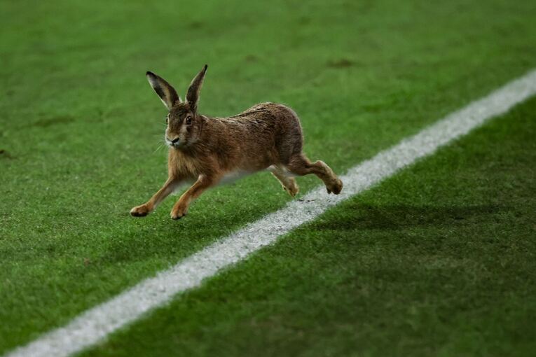 Holstein Kiel - VfB Stuttgart