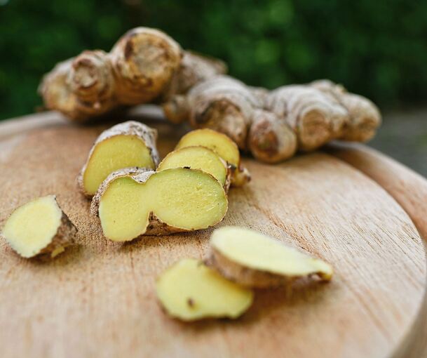 Ingwer ist Heilpflanze des Jahres 2026. Die Knolle bringt nicht nur wertvolle Inhaltsstoffe, sondern punktet auch mit Geschmack.