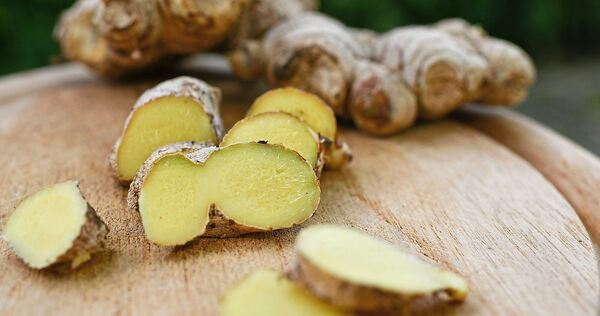 Ingwer ist Heilpflanze des Jahres 2026. Die Knolle bringt nicht nur wertvolle Inhaltsstoffe, sondern punktet auch mit Geschmack.