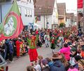 Faschingsumzug in Neckarweihingen.
