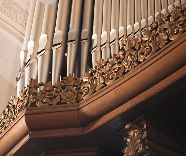 Auch wenn es auf den ersten Blick nicht so aussieht: Viele Pfeifen der Walcker-Orgel in der Friedenskirche müssen restauriert werden.