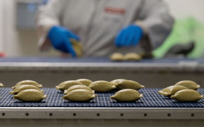 Maultaschen - Bürger GmbH & Co. KG