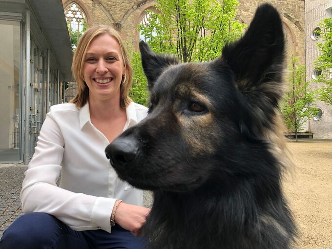 Helfer auf vier Pfoten