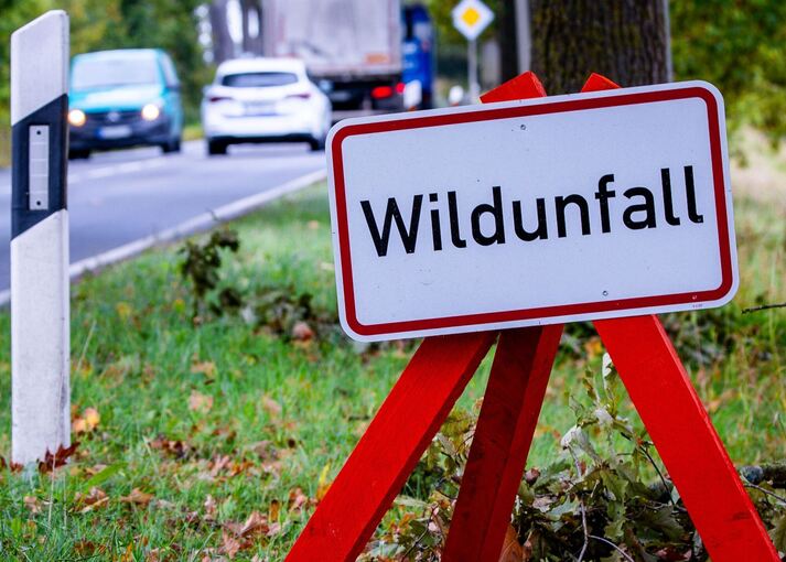 Wildunfall