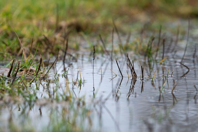 Regenwetter in Baden-Württemberg