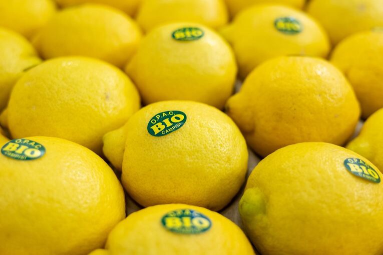 Biofach 2025 Biofach 2025